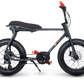RUFF CYCLE LIL'BUDDY ANTRACIET
